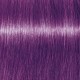 Schwarzkopf Pro Bold Color Wash matu mazgāšanas līdzeklis violetā 300ml Schwarzkopf Pro Bold Color Wash matu mazgāšanas līdzeklis violetā 300ml