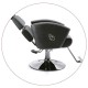 Salon Chair in Black unit 167 Salon Chair in Black unit 167